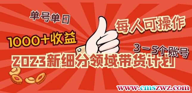 2023新细分领域带货计划：单号单日1000+收益不难，每人可操作3-5个账号