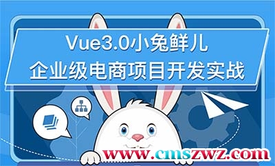 Vue3.0小兔鲜儿前端企业级电商项目实战2021年6月