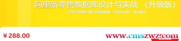 阿里新零售数据库设计与实战 （升级版）