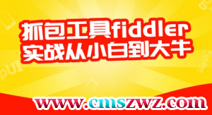 Fiddler抓包实战教程|柠檬