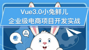 Vue3.0小兔鲜儿企业级电商项目开发实战