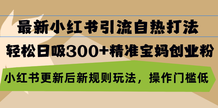 （13145期）最新小红书引流自热打法，轻松日吸300+精准宝妈创业粉，小红书更新后新...