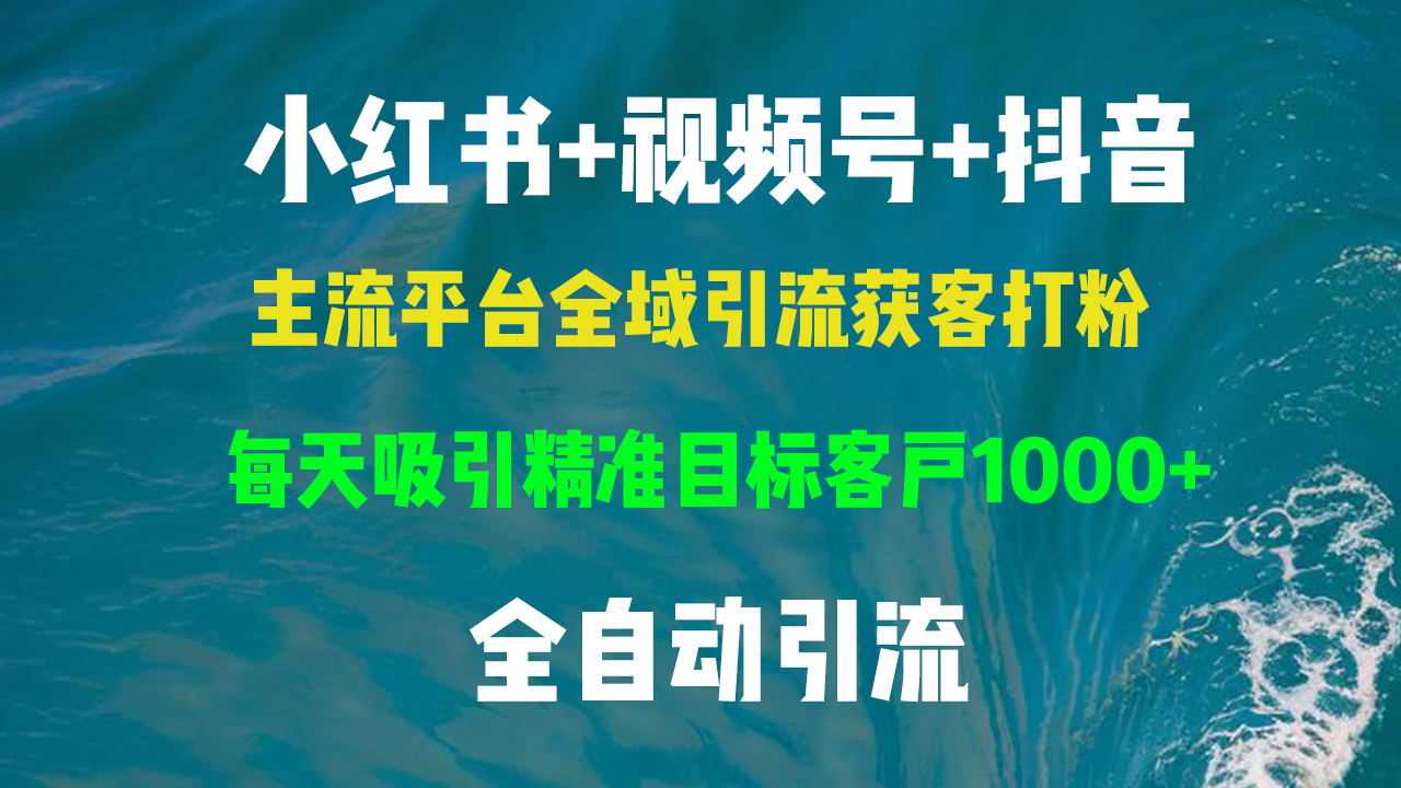 （13103期）小红书，视频号，抖音主流平台全域引流获客打粉，每天吸引精准目标客户...