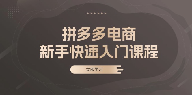 （13289期）拼多多电商新手快速入门课程：涵盖基础、实战与选款，助力小白轻松上手