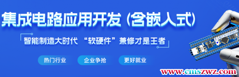 集成电路应用开发(含嵌入式) 小白入门课程